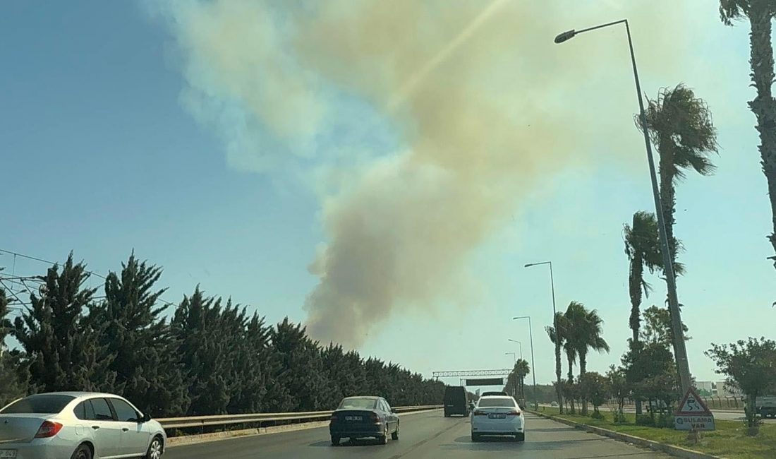 Antalya’da, Aksu ilçesinin Kurşunlu Mahallesi ile Muratpaşa ilçesinin Güzeloba Mahallesi’nde