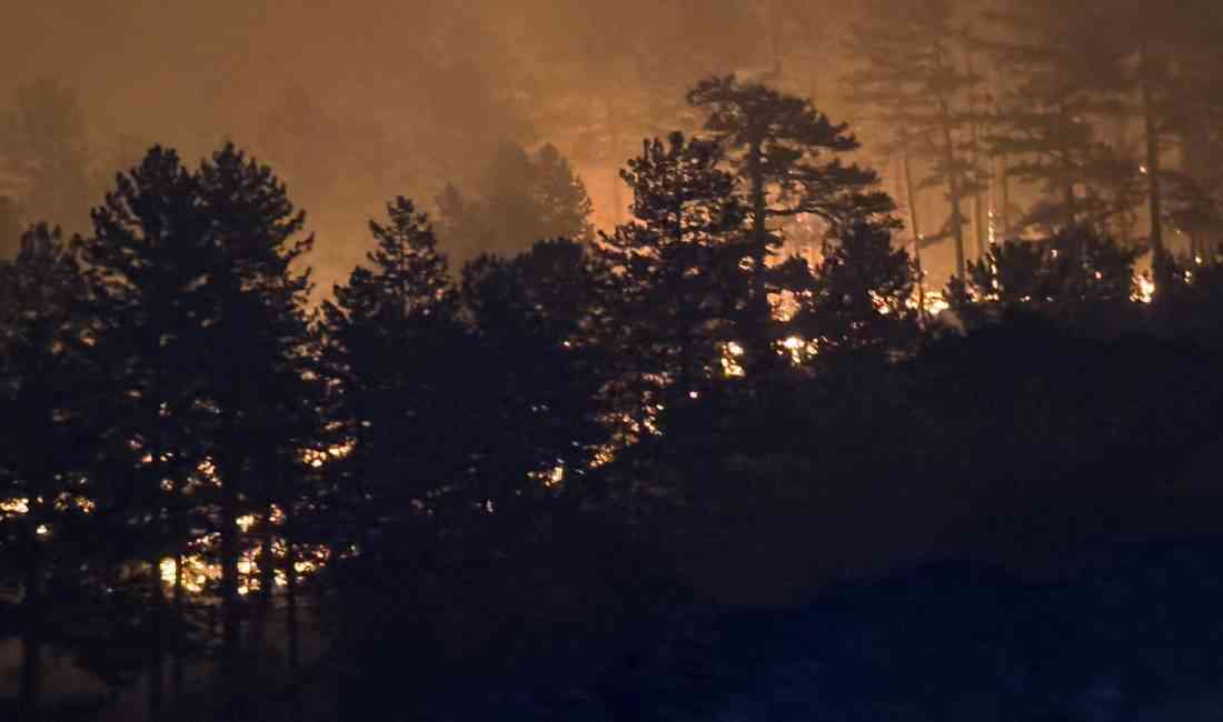 Antalya’nın Alanya ve Gazipaşa ilçelerinde dün başlayan orman yangınlarına müdahale