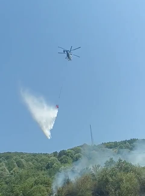 Yangın Hızla Kontrol Altına AlındıBartın’ın Kozcağız beldesinde, Kozcağız Barajı yakınlarındaki