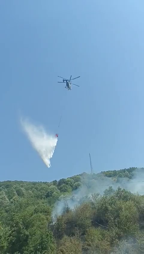 Yangın Hızla Kontrol Altına AlındıBartın’ın Kozcağız beldesinde, Kozcağız Barajı yakınlarındaki