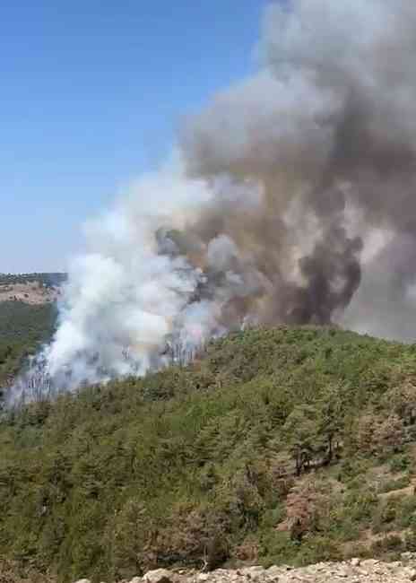 Bursa’nın Orhaneli ilçesinde dün başlayan ve kısmen kontrol altına alınan