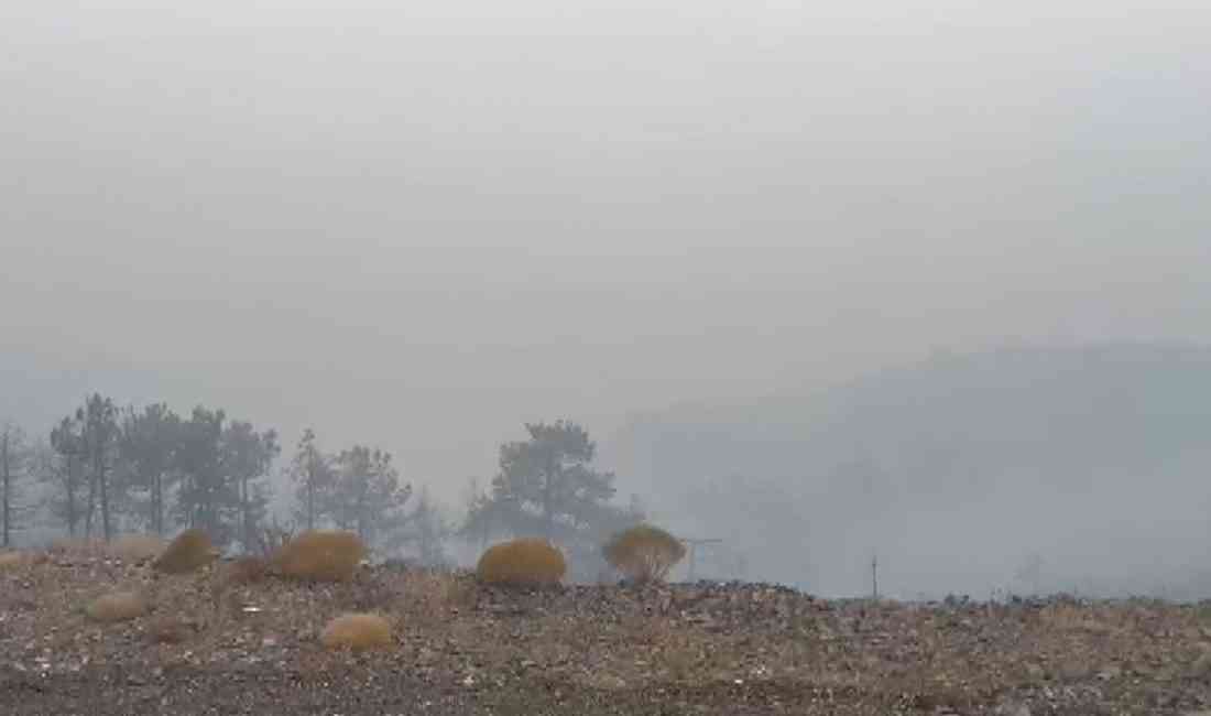 Bursa’nın Orhaneli ve Harmancık ilçeleri arasında çıkan orman yangınına ilişkin