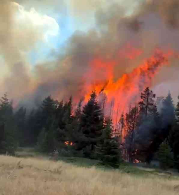 Çankırı’nın Yapraklı ilçesinde, Sarıkaya Mahallesi yakınlarındaki ormanlık alanda saat 13.00