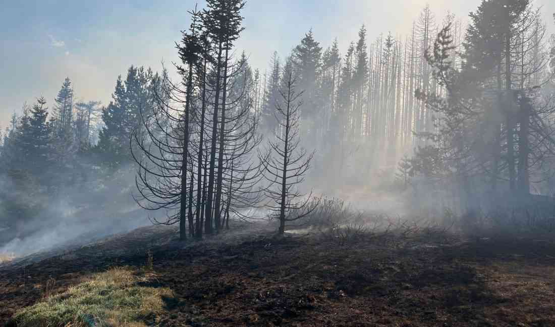 Orman Genel Müdürlüğü (OGM), dün Çankırı’nın Yapraklı ilçesinde çıkan orman