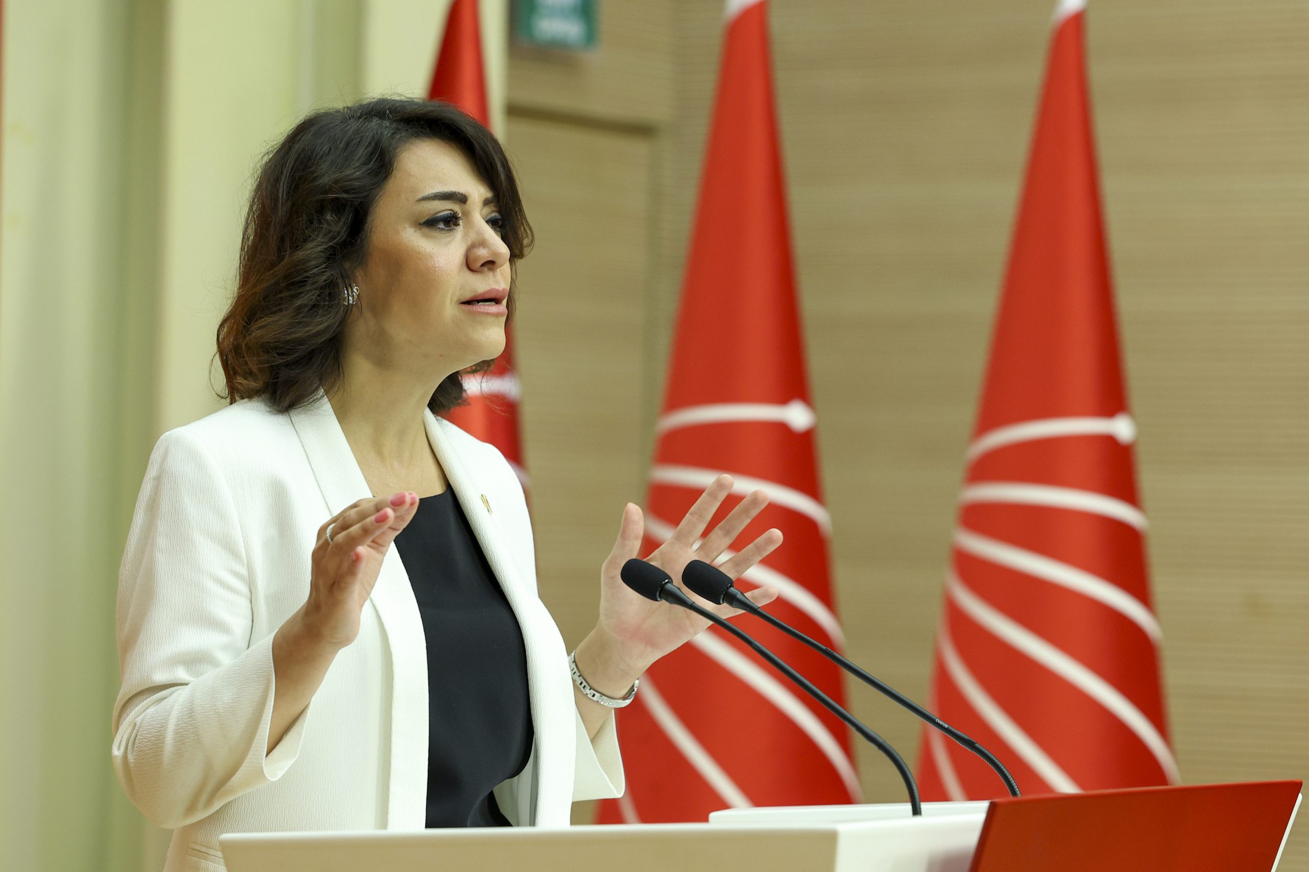 CHP Genel Başkan Yardımcısı Gamze Taşcıer, partisinin genel merkezinde düzenlediği