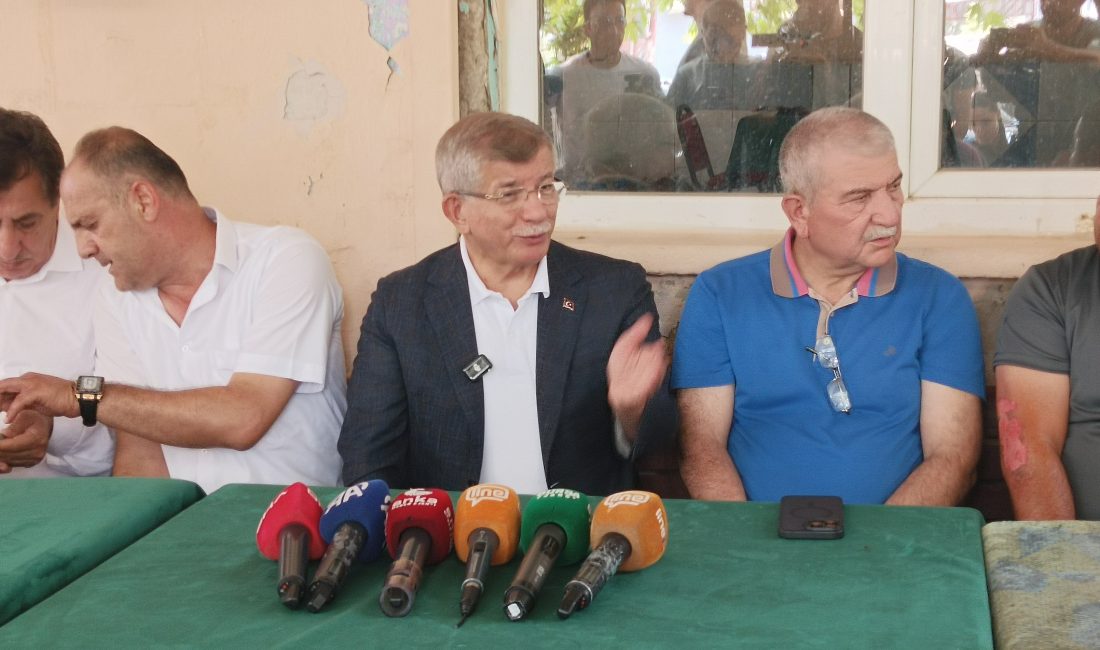 Bursa’nın Gürsu ilçesinde etkili olan orman yangınlarını yerinde incelemek üzere