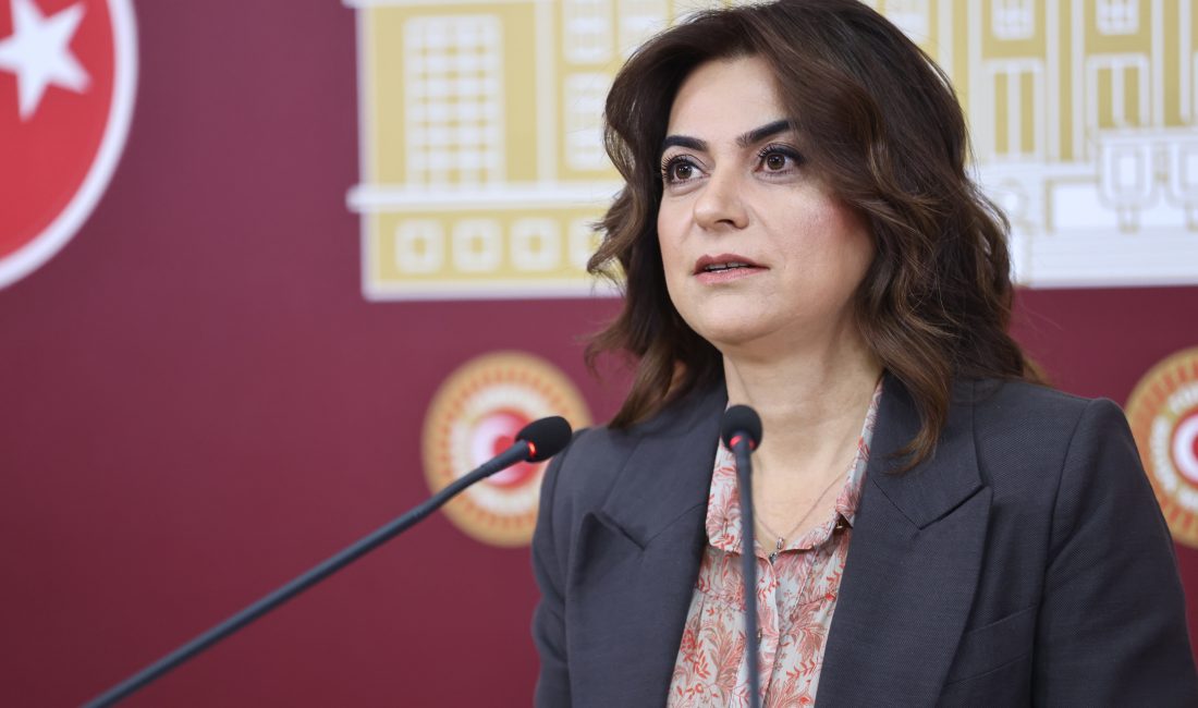 Koçyiğit: Komisyonun Adı ve Yaklaşımı DeğişmeliDEM Parti Grup Başkanvekili Gülistan