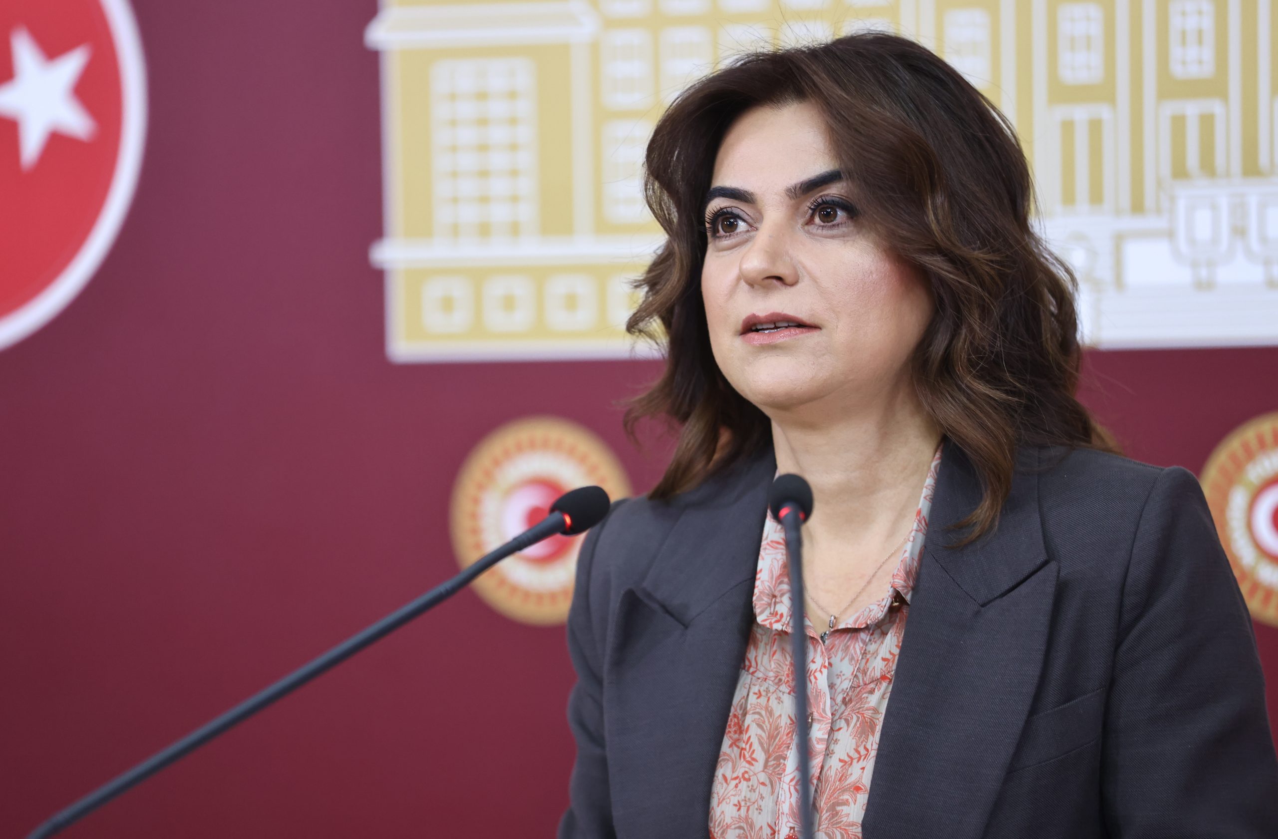 Koçyiğit: Komisyonun Adı ve Yaklaşımı DeğişmeliDEM Parti Grup Başkanvekili Gülistan