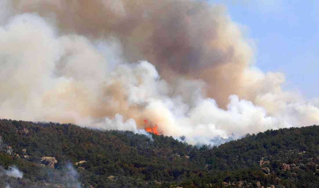 Eskişehir’in Seyitgazi ilçesinde başlayan ve kuvvetli rüzgarın etkisiyle Afyonkarahisar’a sıçrayan