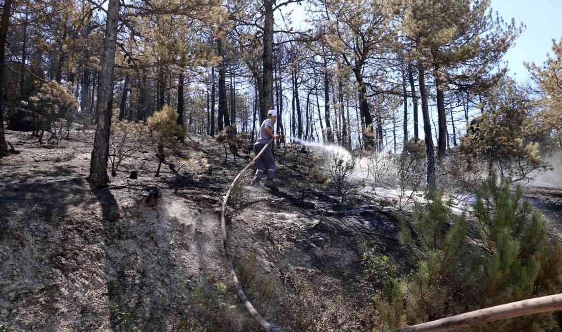 Eskişehir’in Seyitgazi ilçesinde başlayıp Afyonkarahisar’ın İhsaniye ilçesine sıçrayan orman yangını,