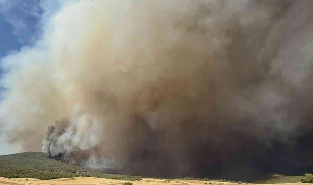 Eskişehir’in Seyitgazi ilçesinde, Büyükyayla ile Fethiye mahalleleri arasında çıkan orman