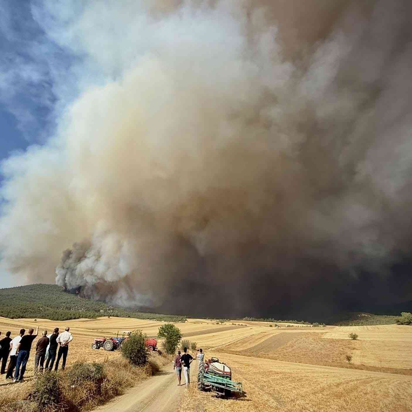 Eskişehir’in Seyitgazi ilçesinde, Büyükyayla ile Fethiye mahalleleri arasında çıkan orman
