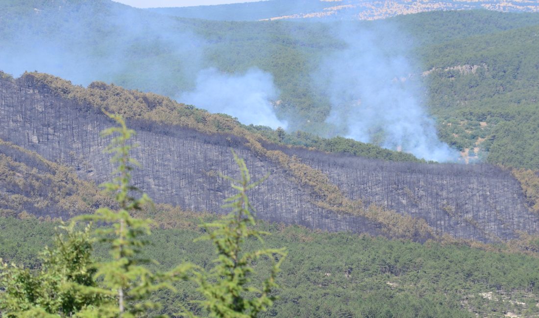Eskişehir’in Seyitgazi ilçesinde başlayan orman yangınına müdahale ikinci gününde de