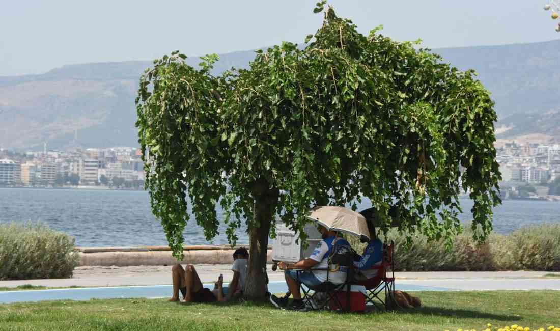 Afrika Sıcakları Türkiye’de Boğaziçi Üniversitesi İklim Değişikliği ve Politikaları Uygulama
