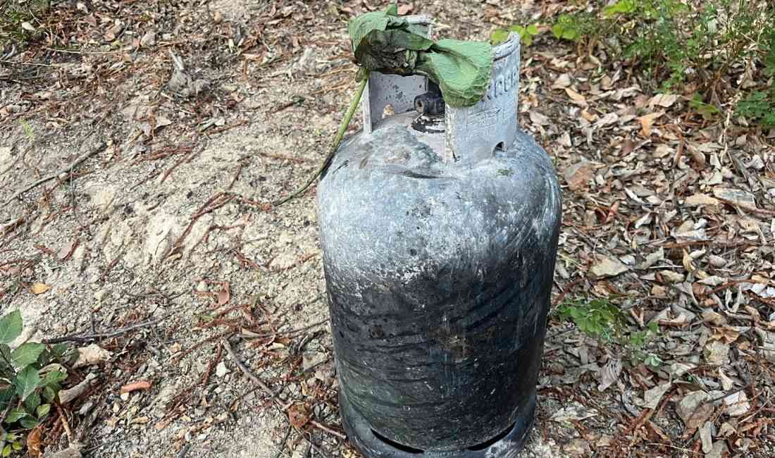 Sakarya’nın Hendek ilçesinde, dün çıkan orman yangını, itfaiye ve ekiplerin