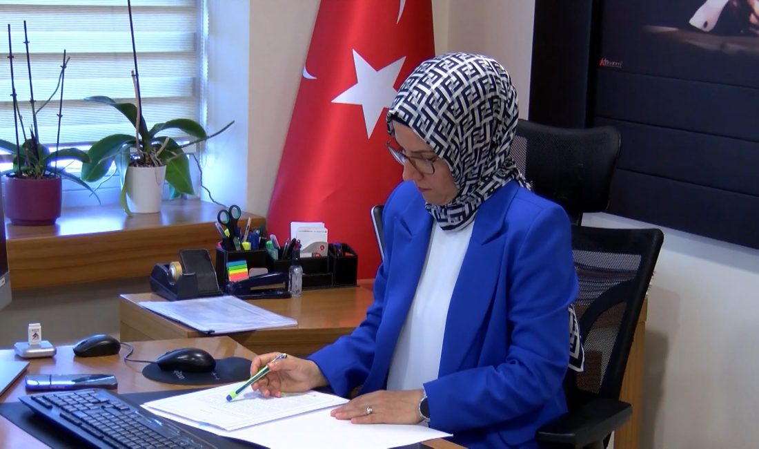 Tercih Döneminde Öğrencilere Veri Tabanlı Kariyer Danışmanlığı Türkiye İş Kurumu