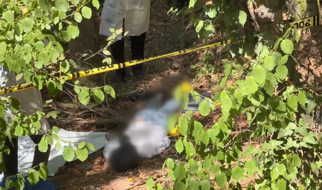 Sarıyer’in Bahçeköy bölgesinde, yol kenarındaki ormanlık alanda bulunan 25 yaşlarında