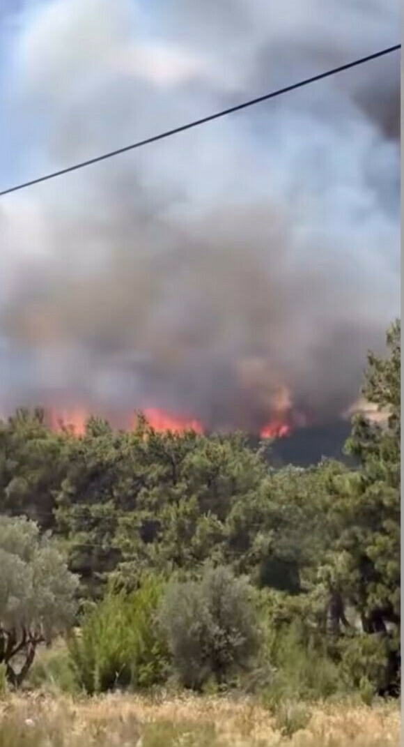 Gökdere Mahallesi’nde Korkutan Yangınİzmir’in Bornova ilçesine bağlı Gökdere Mahallesi’nde saat