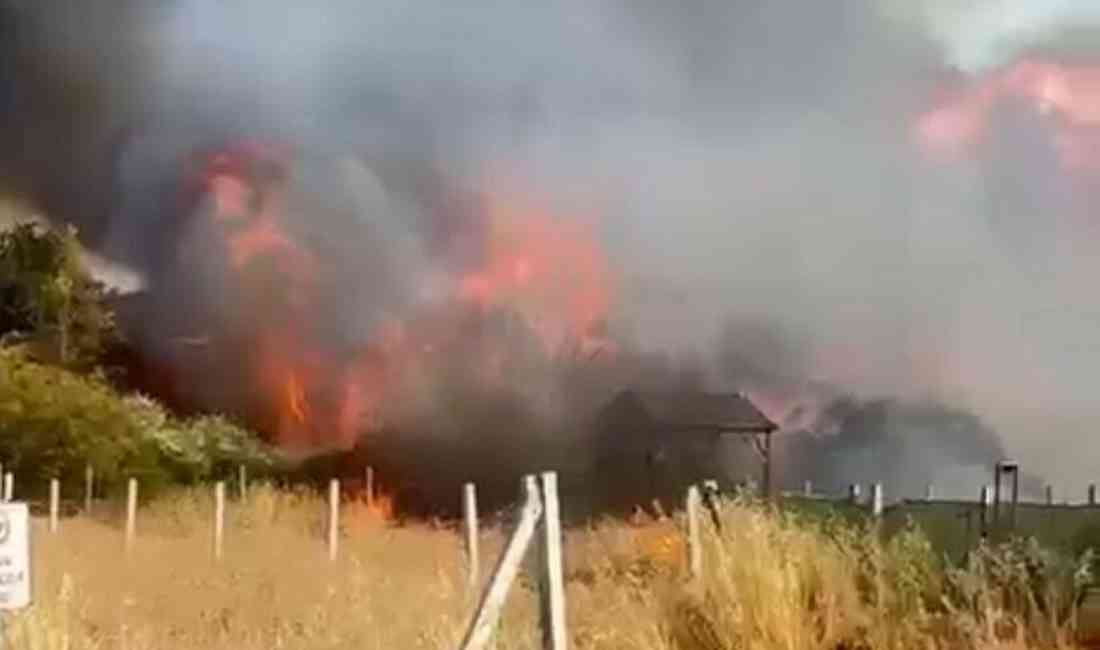 İzmir’in Menderes ilçesine bağlı Oğlananası Mahallesi’nde dün akşam saatlerinde tarım