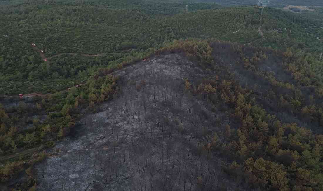 Yangın Rüzgarın Etkisiyle Büyüdüİzmir’in Urla ilçesine bağlı Kuşçular Mahallesi’nde dün