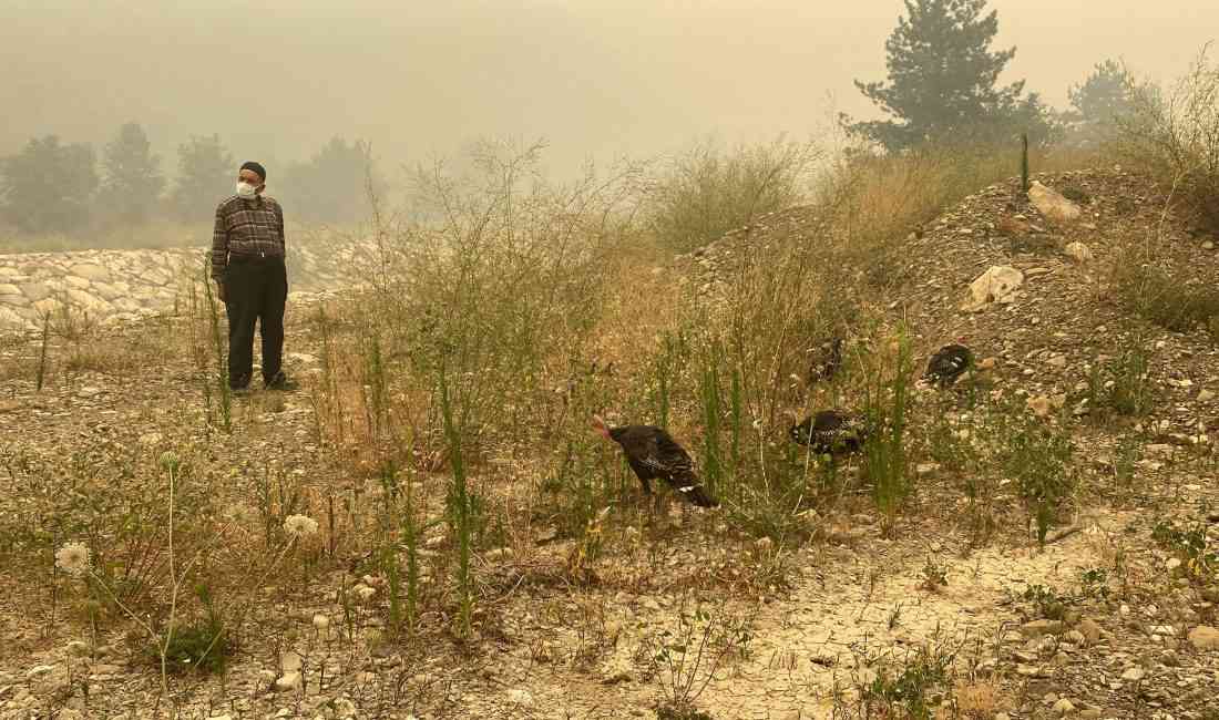 Karabük’te üç farklı noktada başlayan orman yangınlarına yönelik söndürme çalışmaları