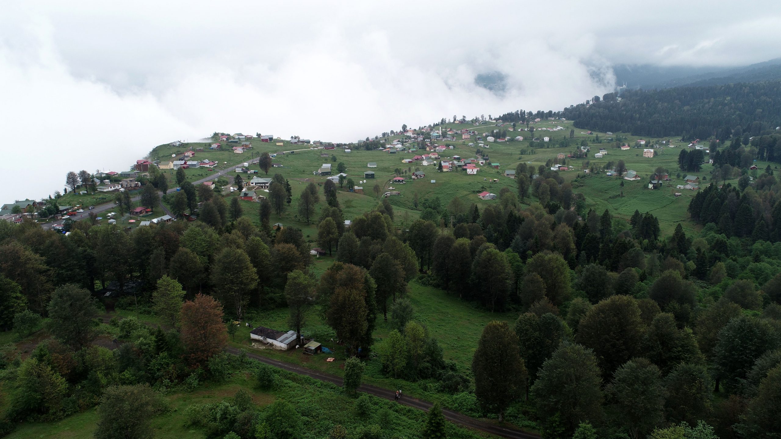Doğu Karadeniz, artan nem oranı ve sıcak havadan bunalanlar için