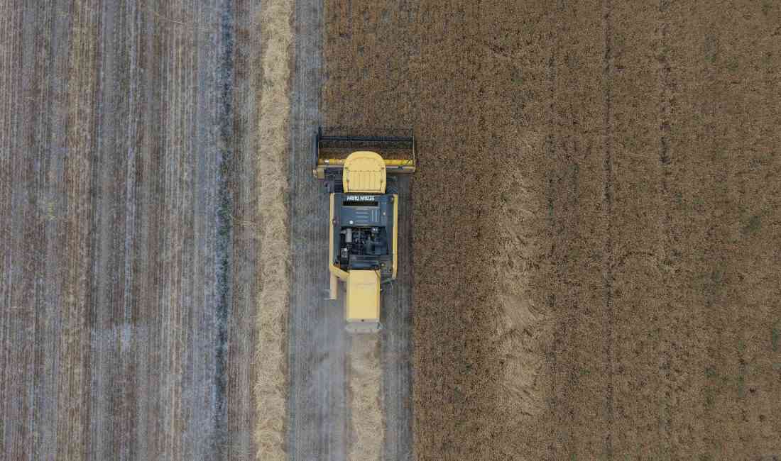 Türkiye’nin “tahıl ambarı” olarak bilinen Konya Ovası’nda, kurak geçen kış