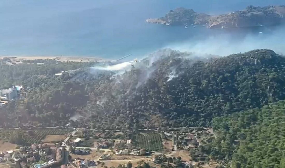 Muğla Ortaca’da Tarım Arazisinde Başlayan Yangın Ormana Sıçradı Rüzgar yangını ormana taşıdı, müdahale sürüyor Muğla’nın Ortaca ilçesine bağlı