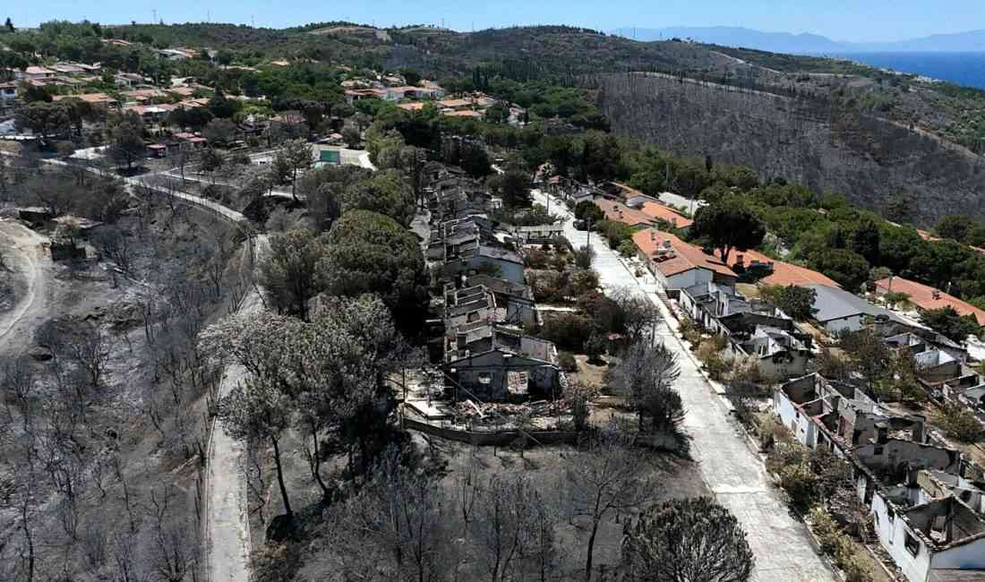 İzmir’de son bir ayda meydana gelen orman yangınlarında 25 bin