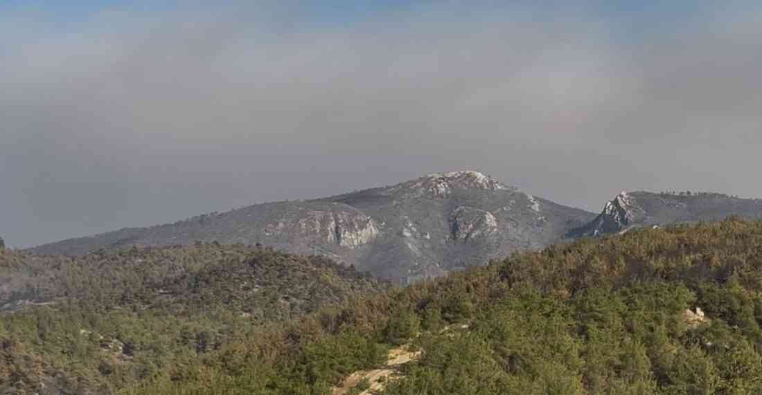 Yangın Hacılar Mahallesi’nde BaşladıSakarya’nın Geyve ilçesine bağlı Hacılar Mahallesi kırsalında