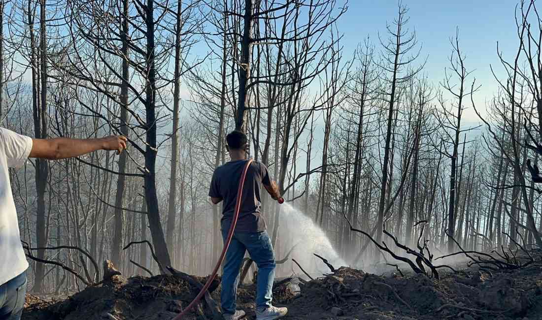 Yangın Kocatöngel ve Hacıkışla Arasında ÇıktıSakarya’nın Hendek ilçesinde, Hacıkışla ile