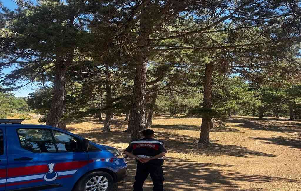 Ormanlara Giriş ve Havai Fişek Kullanımı YasaklandıSakarya Valiliği, yangın riski