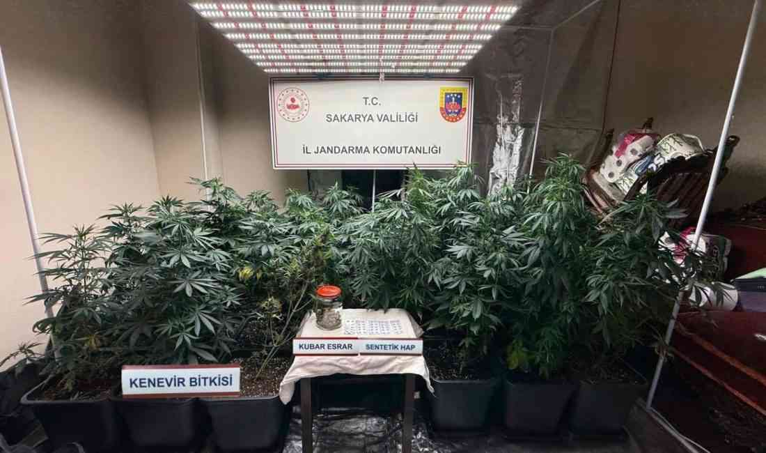 Sakarya İl Jandarma Komutanlığı ekipleri, uyuşturucuyla mücadele kapsamında Sapanca ve