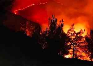 Yangın 28 Saattir Sürüyor, Hava ve Kara Mücadelesi Devam Ediyor
