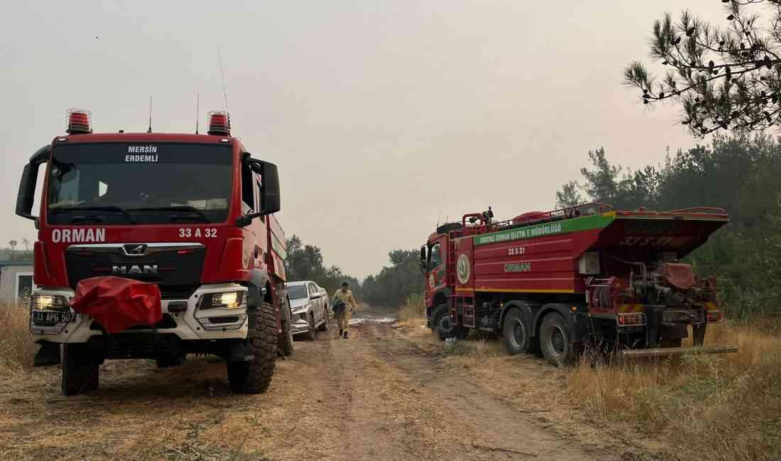 Yangın Büyüyor, Müdahale SürüyorSakarya’nın Geyve ilçesinde 20 Temmuz’da başlayan orman