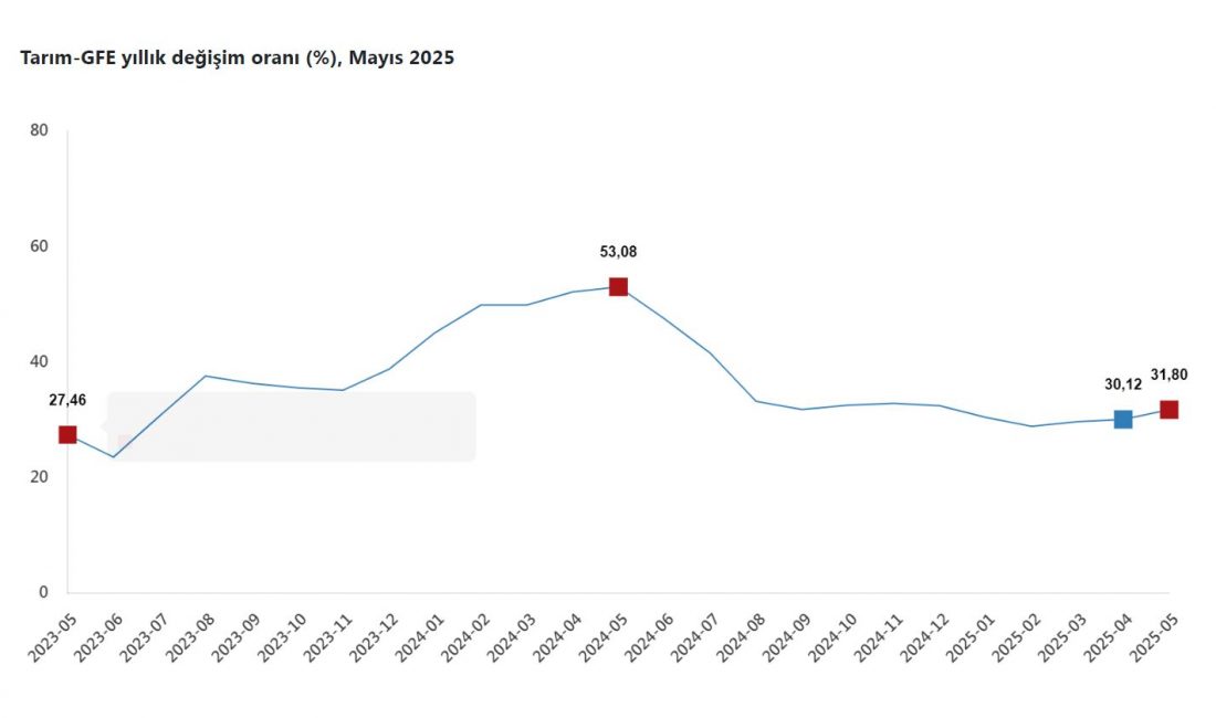 Türkiye İstatistik Kurumu (TÜİK), Mayıs 2025’e ait tarımsal girdi fiyat