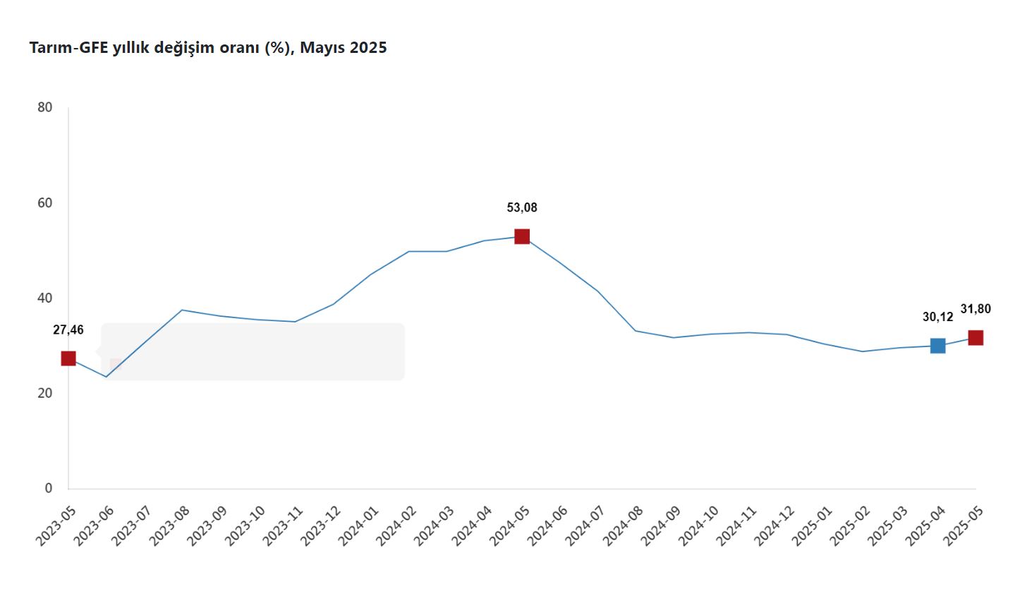 Türkiye İstatistik Kurumu (TÜİK), Mayıs 2025’e ait tarımsal girdi fiyat