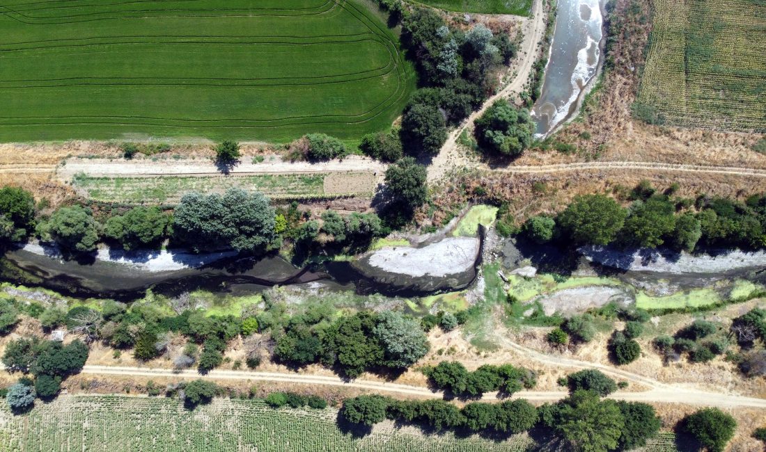 EDİRNE’DE ÇELTİK ÜRETİMİ KURAKLIKLA TEHDİT ALTINDA: NEHİR KURUDU, ÜRÜNLER SUSUZ KALDI Tunca Nehri Kurudu, Çeltik Tarlaları Susuz Kaldı Türkiye’nin çeltik üretiminin