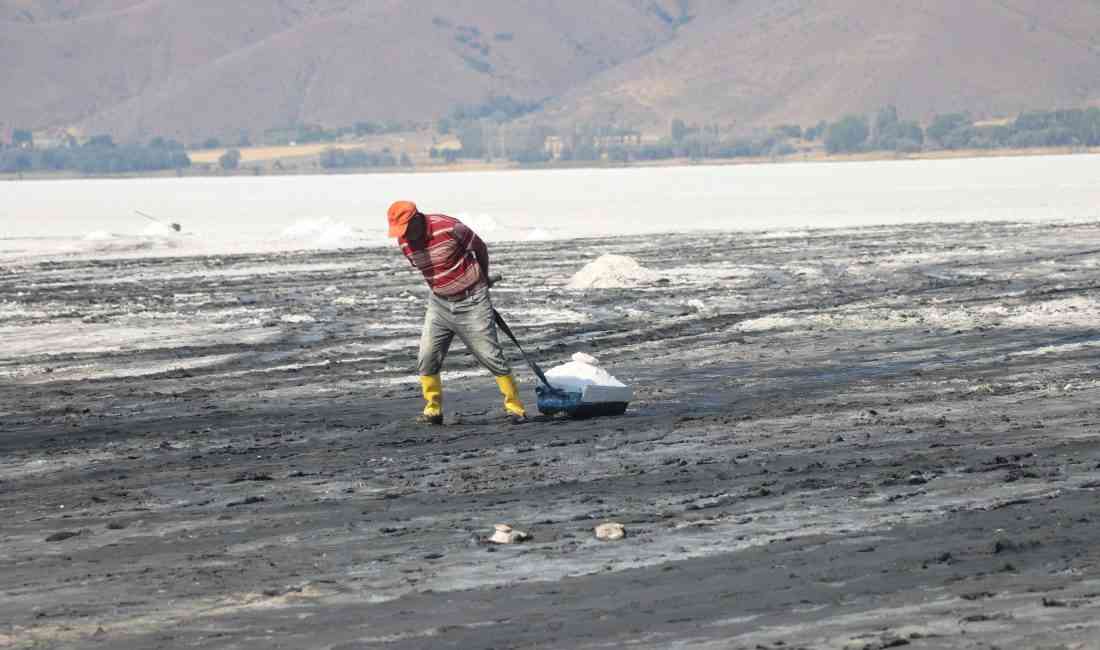 Bir Yıl Aradan Sonra Tuzla Gölü’nden İlk HasatKayseri’nin Sarıoğlan ilçesindeki
