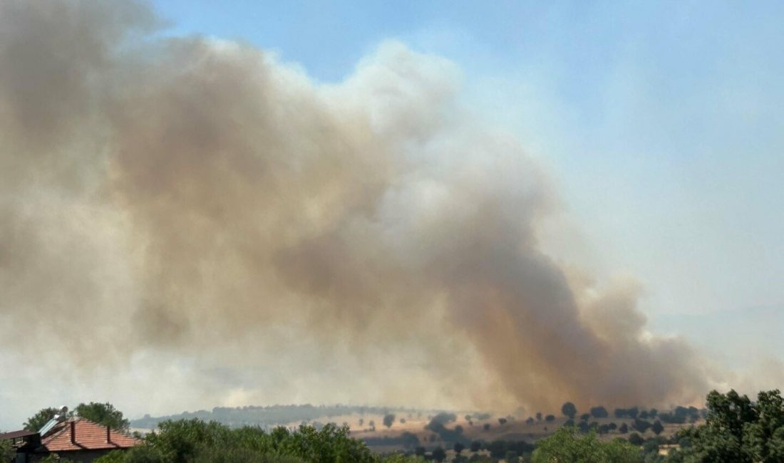 Uşak Sivaslı’da Meşelik Alanda Yangın: Havadan ve Karadan Müdahale Sürüyor Uşak’ın Sivaslı ilçesine bağlı Hanoğlu köyü yakınlarında çıkan orman yangınına