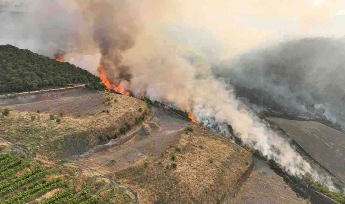Manisa’nın Akhisar ilçesi Karaköy Mahallesi’nde 28 Haziran’da başlayan orman yangını
