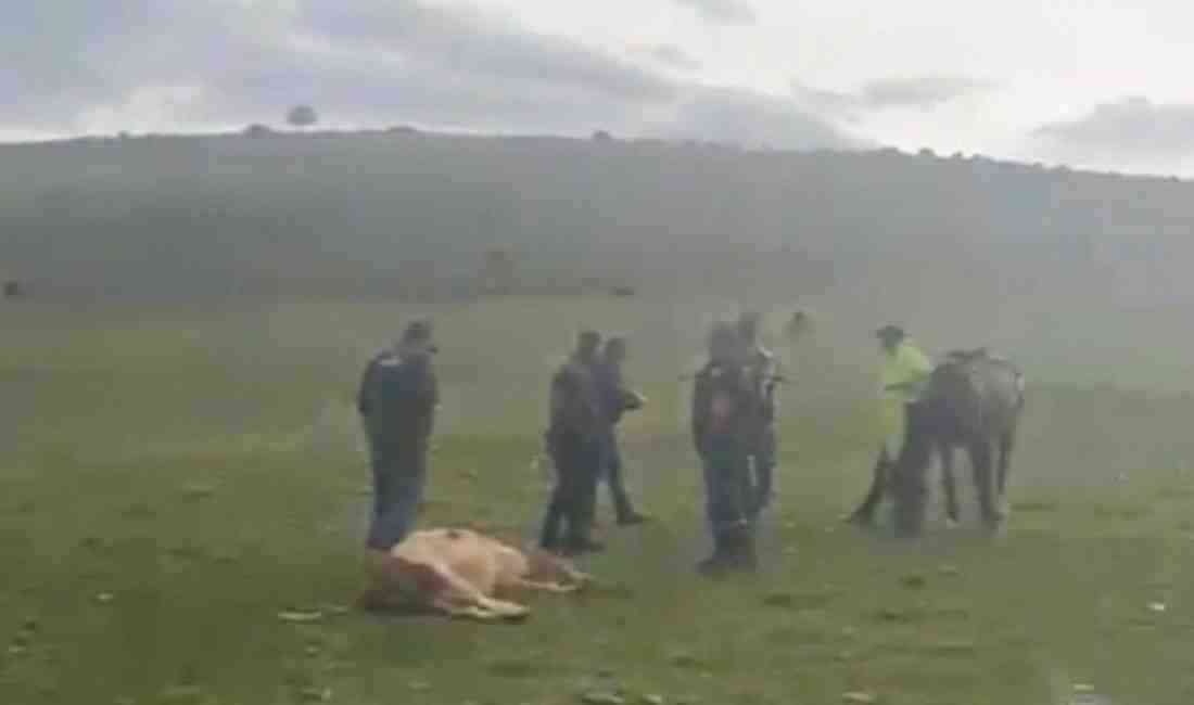 Sağanakla Birlikte Yıldırım Düşmeleri Etkili OlduArdahan’ın Hanak ilçesine bağlı Dilekdere