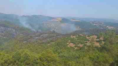 Altıeylül’de Başlayan Yangın Geniş Alana Yayıldı Balıkesir’in Altıeylül ilçesine bağlı