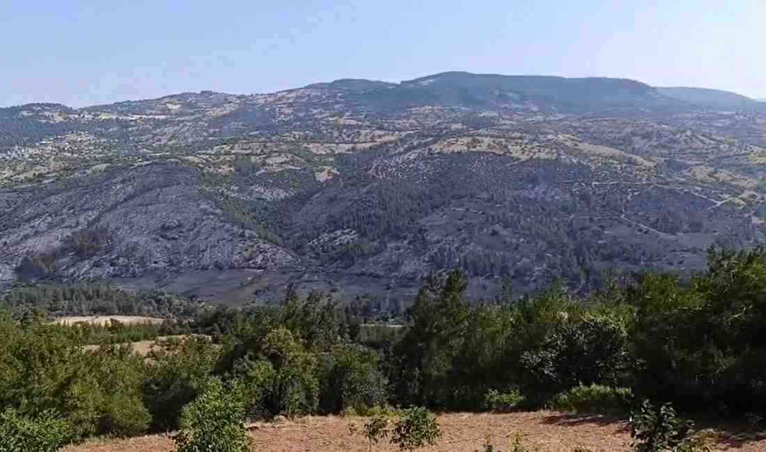 Balıkesir ile Bursa sınırında yer alan tarım arazisinde dün çıkan