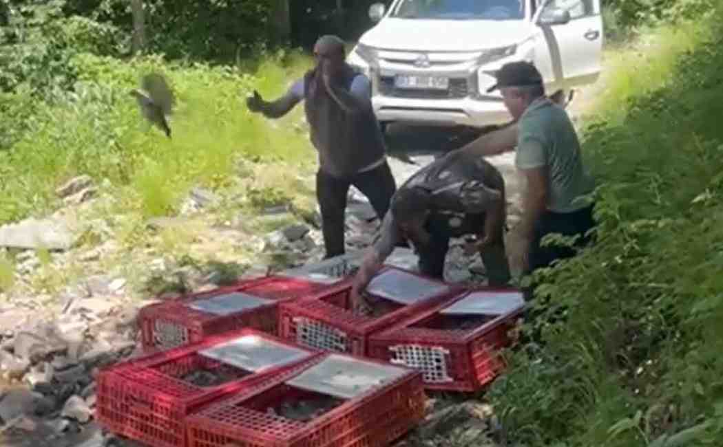 Kırım Kongo Kanamalı Ateşi’ne Karşı Doğal Mücadele Doğa Koruma ve