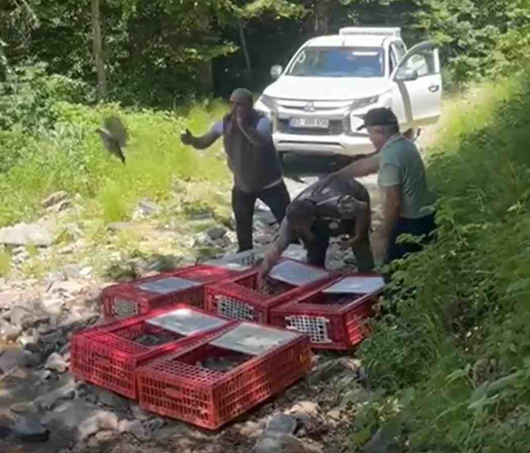 Kırım Kongo Kanamalı Ateşi’ne Karşı Doğal Mücadele Doğa Koruma ve
