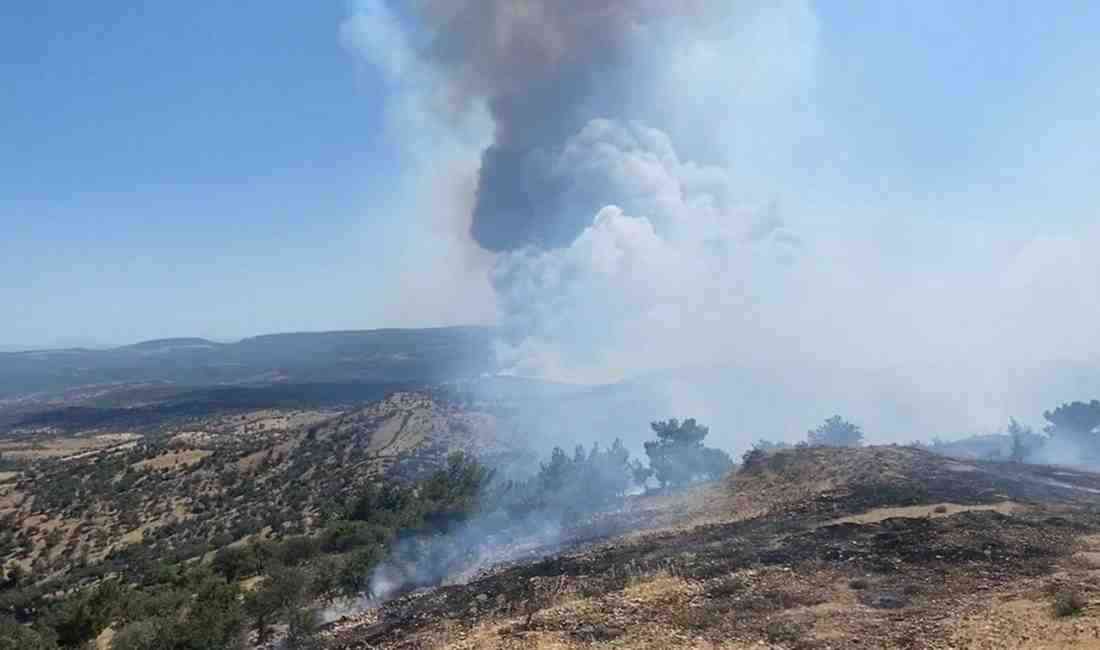 Çanakkale’nin Ayvacık ilçesinde öğle saatlerinde ormanlık alanda yangın çıktı. Ayvacık