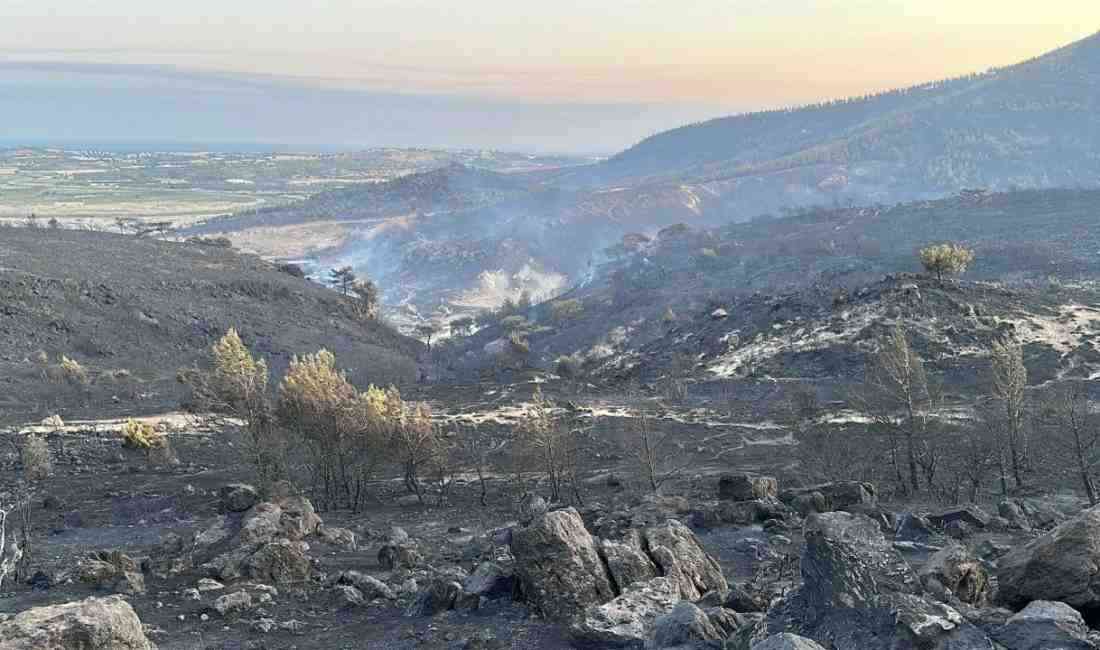 Yangın 4 Köyün Tahliyesine Neden Oldu Çanakkale’nin Ayvacık ilçesine bağlı