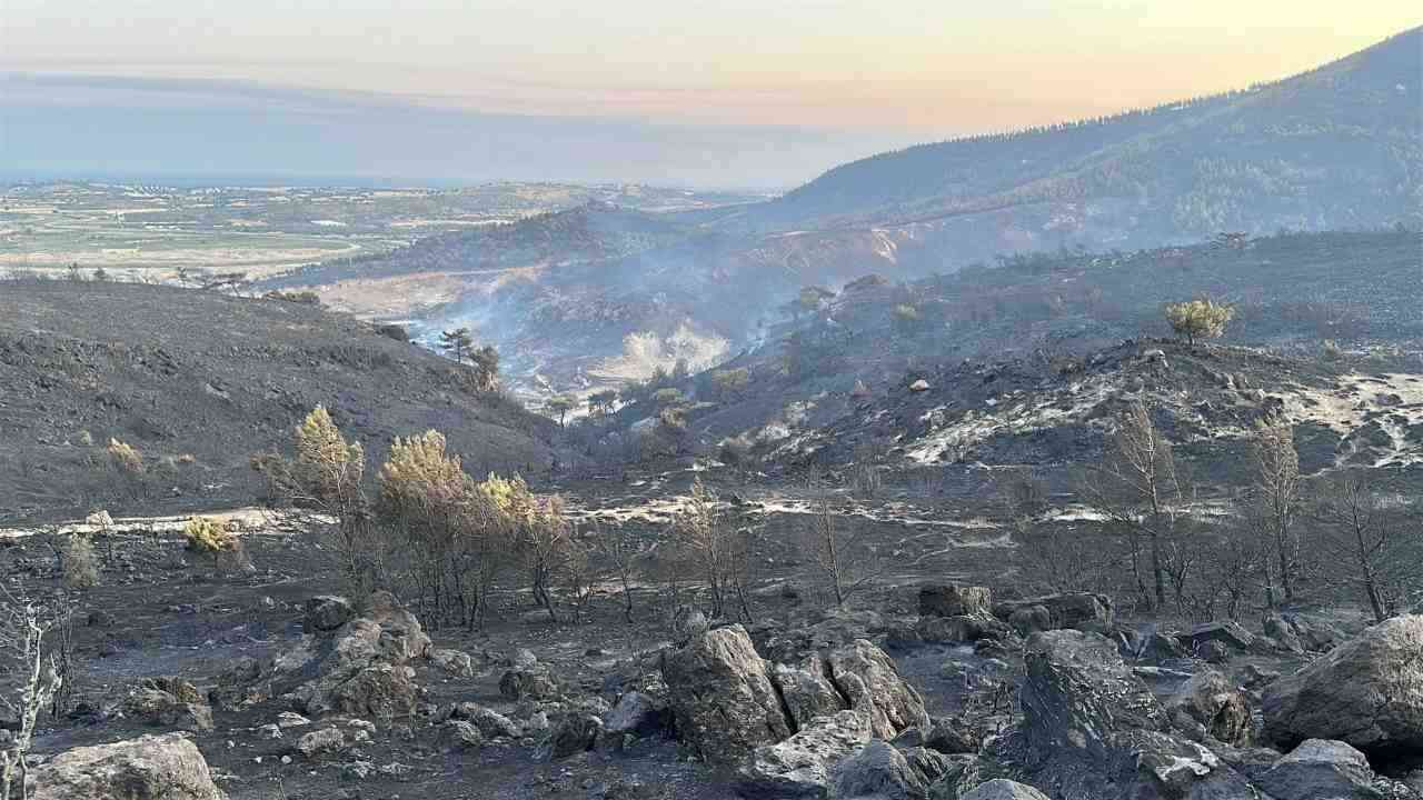 Yangın 4 Köyün Tahliyesine Neden Oldu Çanakkale’nin Ayvacık ilçesine bağlı