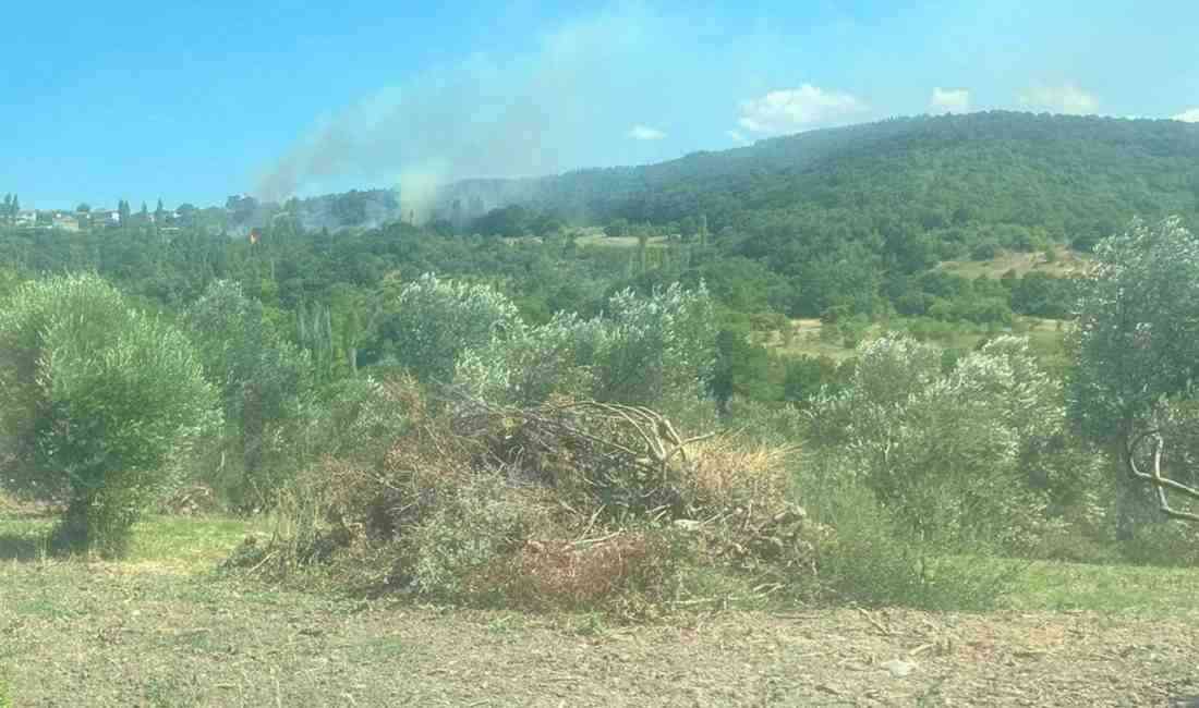 Çanakkale’nin Lapseki ilçesinde tarım arazisinde başlayarak ormanlık alana sıçrayan yangının,